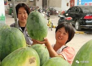 今日午餐吃瓜视频